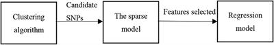 A Novel Three-Stage Framework for Association Analysis Between SNPs and Brain Regions